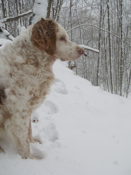 Prima Neve (28-11-2010), 9.jpg